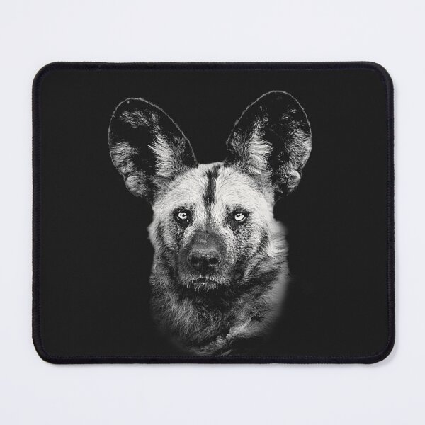 Item preview, Painted Dog Portait African Wildlife designed and sold by Scotch Macaskill.