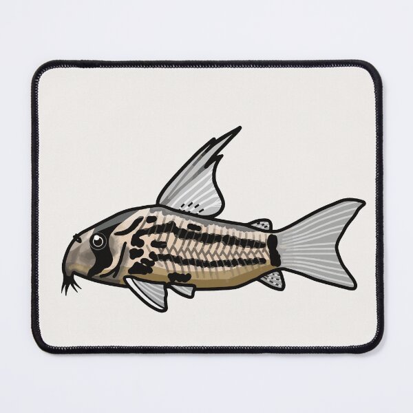 Item preview, Super schwartzi corydoras, best fishkeeper gift, aquarium gift - aquadesk designed and sold by Aquadesk.