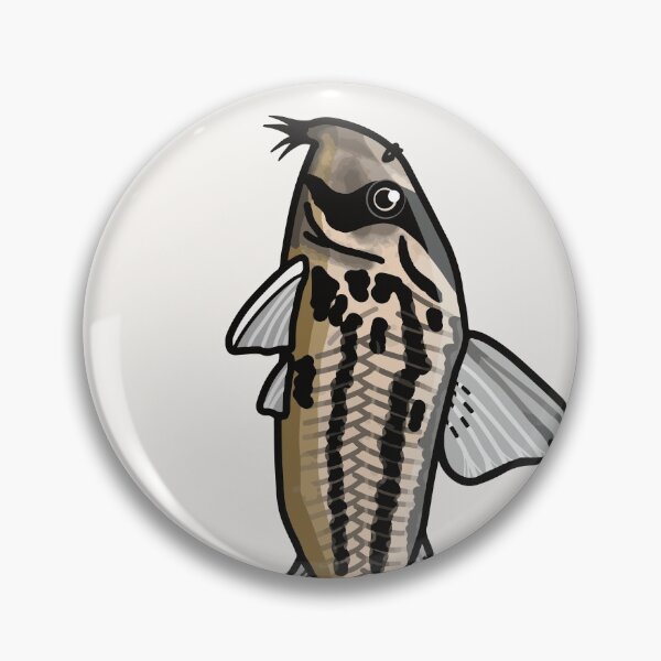 Item preview, Super schwartzi corydoras - aquadesk designed and sold by Aquadesk.