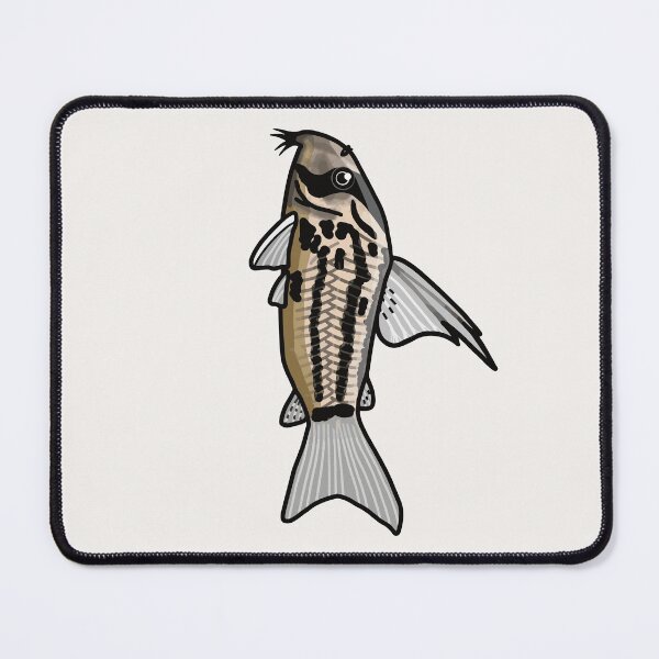 Item preview, Super schwartzi corydoras - aquadesk designed and sold by Aquadesk.