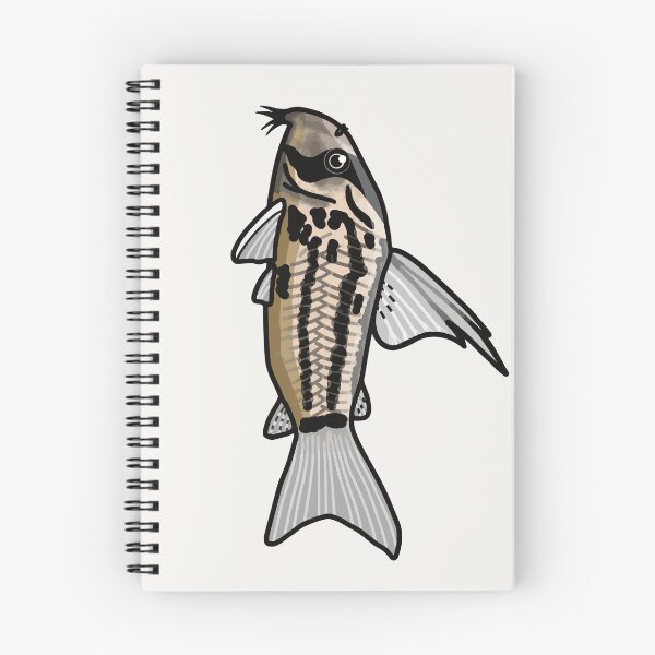 Item preview, Super schwartzi corydoras - aquadesk designed and sold by Aquadesk.