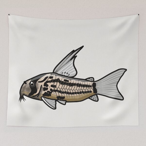 Item preview, Super schwartzi corydoras, best fishkeeper gift, aquarium gift - aquadesk designed and sold by Aquadesk.