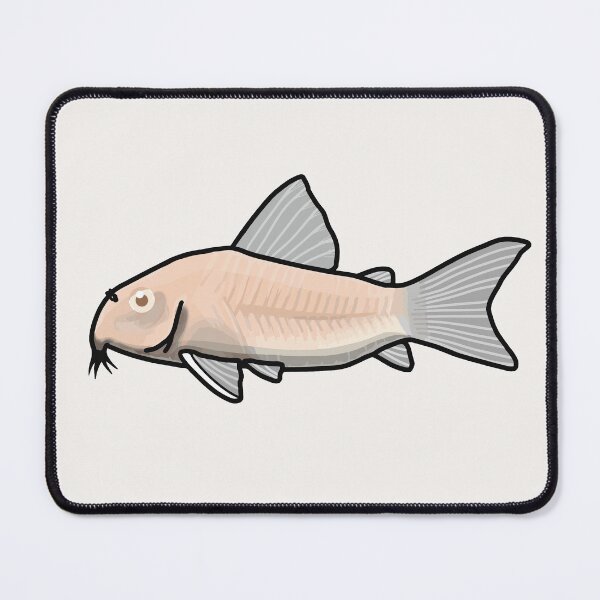 Item preview, Albino corydoras, best fishkeeper gift, aquarium gift - aquadesk designed and sold by Aquadesk.