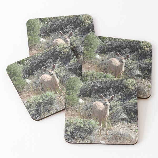 Item preview, Mule deer, animals, wildlife, gifts designed and sold by Sandra O'Toole.