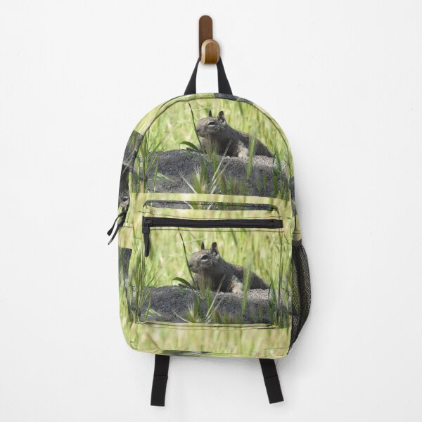 Item preview, Ground squirrel, squirrels, animals, wildlife, gifts designed and sold by Sandra O'Toole.
