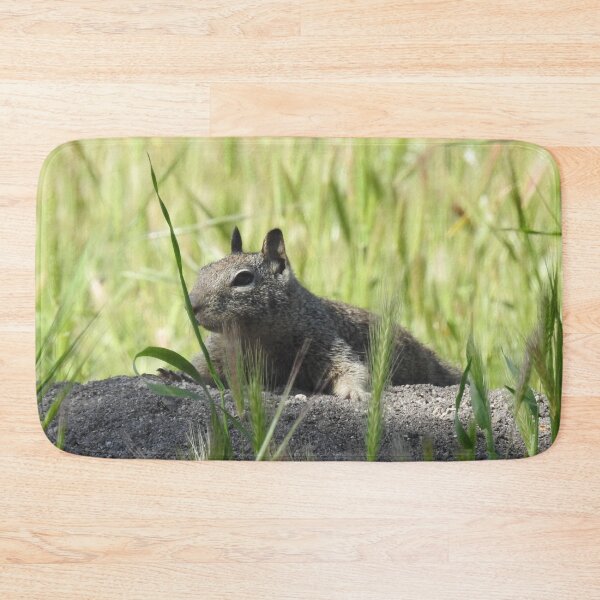 Item preview, Ground squirrel, squirrels, animals, wildlife, gifts designed and sold by Sandra O'Toole.