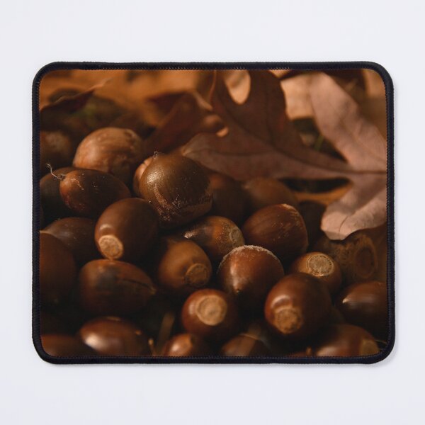 Item preview, A squirrel's feast..... designed and sold by Poete100.