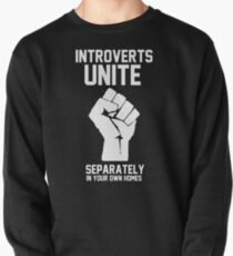 Introverts unite separately in your own homes Pullover