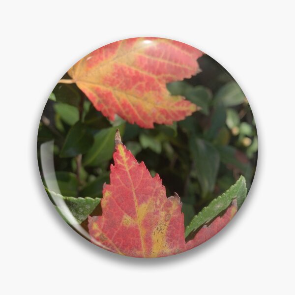 Item preview, Fall sign designed and sold by agnessa38.