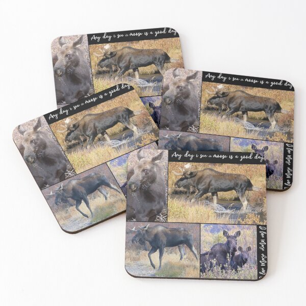 Item preview, I Love Moose -- Series designed and sold by Betsy Seeton.
