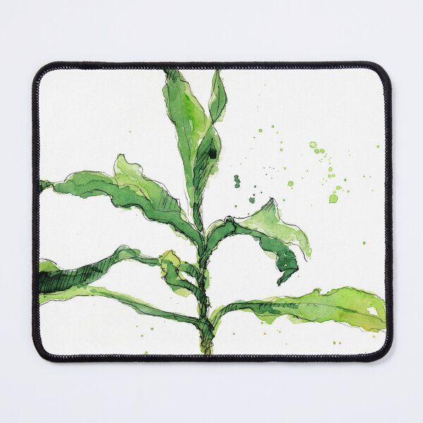 Item preview, Kopie von Kopie von Cacao Tree – Theobroma cacao, Watercolor designed and sold by un-artiges.