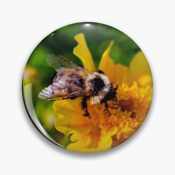 Item preview, Bee on flower designed and sold by JoshuaBroken.