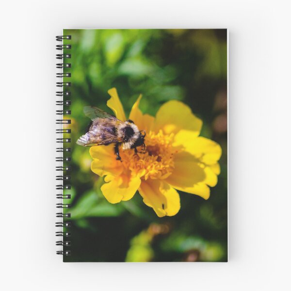 Item preview, Bee on flower designed and sold by JoshuaBroken.