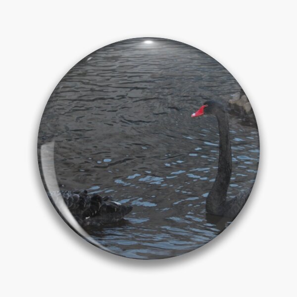 Item preview, Photography/black swans  designed and sold by Fossy18.