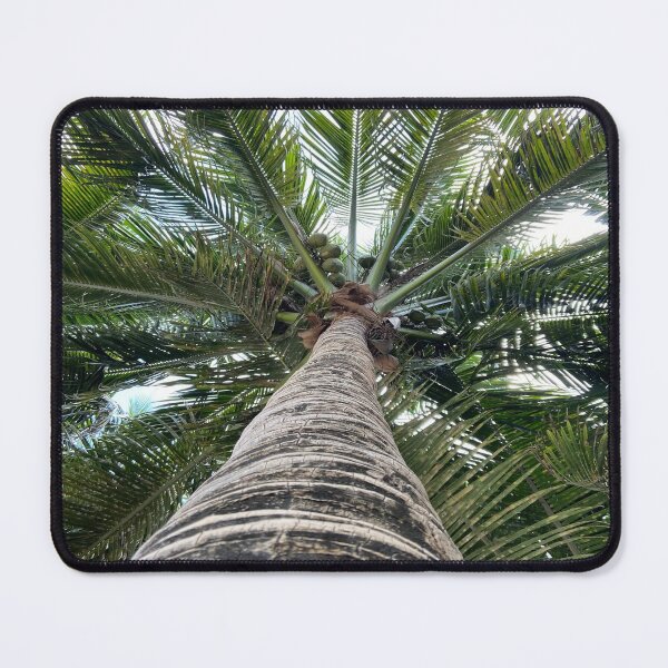Item preview, Palm Tree designed and sold by Views4Days.