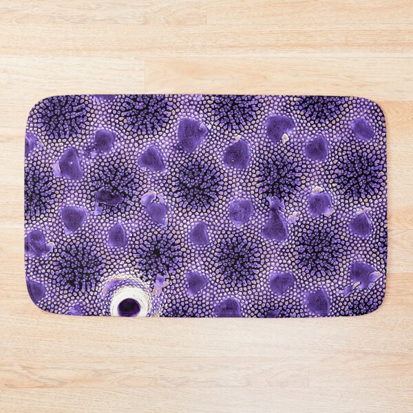 Item preview, Coscinodiscus - Cold Purple designed and sold by DiatomsATTACK.