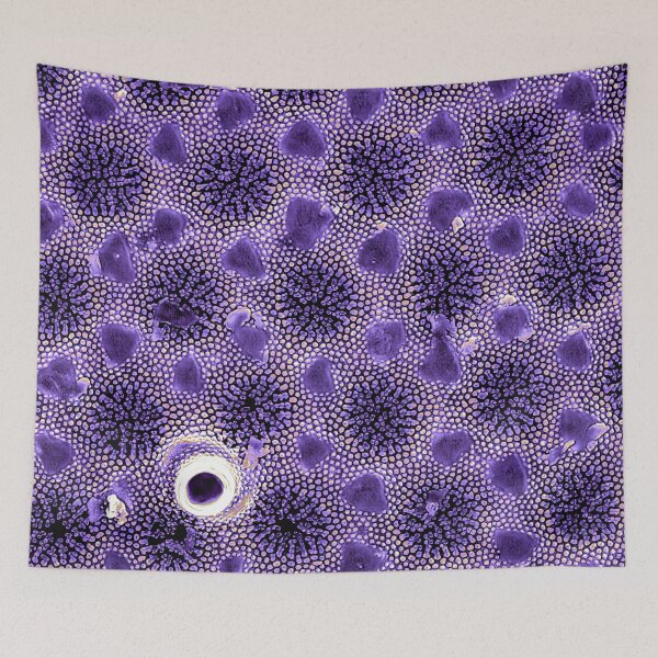 Item preview, Coscinodiscus - Cold Purple designed and sold by DiatomsATTACK.