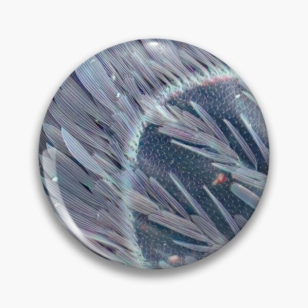 Item preview, Mosquito Wing in SEM designed and sold by DiatomsATTACK.