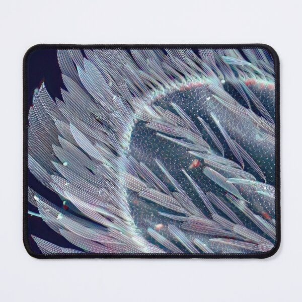 Item preview, Mosquito Wing in SEM designed and sold by DiatomsATTACK.