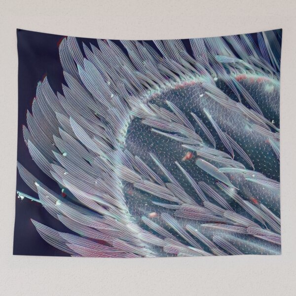 Item preview, Mosquito Wing in SEM designed and sold by DiatomsATTACK.