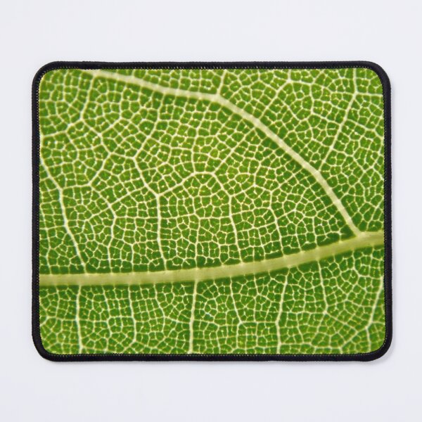 Item preview, Map designed and sold by salvage203.
