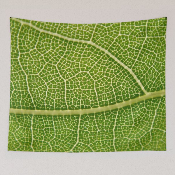 Item preview, Map designed and sold by salvage203.