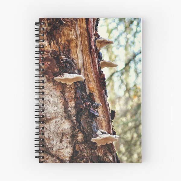 Item preview, Mushrooms on Birch Log designed and sold by jenstever.