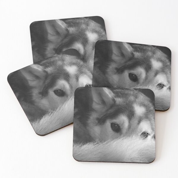 Item preview, Husky designed and sold by jenstever.
