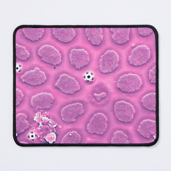 Item preview, Diatom - Thalassiosira in SEM (cribra, pink) designed and sold by DiatomsATTACK.