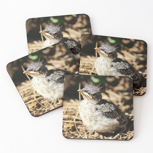 Item preview, Baby Mockingbird designed and sold by Lens2Canvas.
