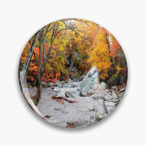 Item preview, Bosque anaranjado designed and sold by Views4Days.