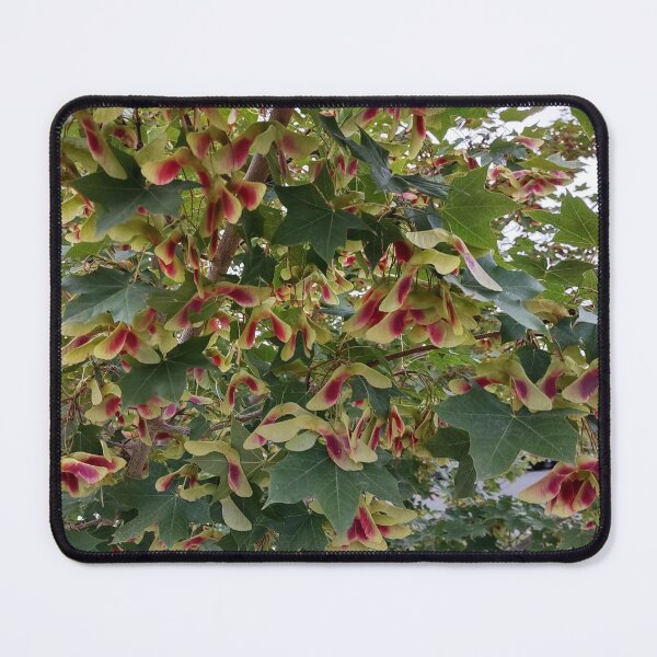Item preview, Maple designed and sold by toast-part-two.
