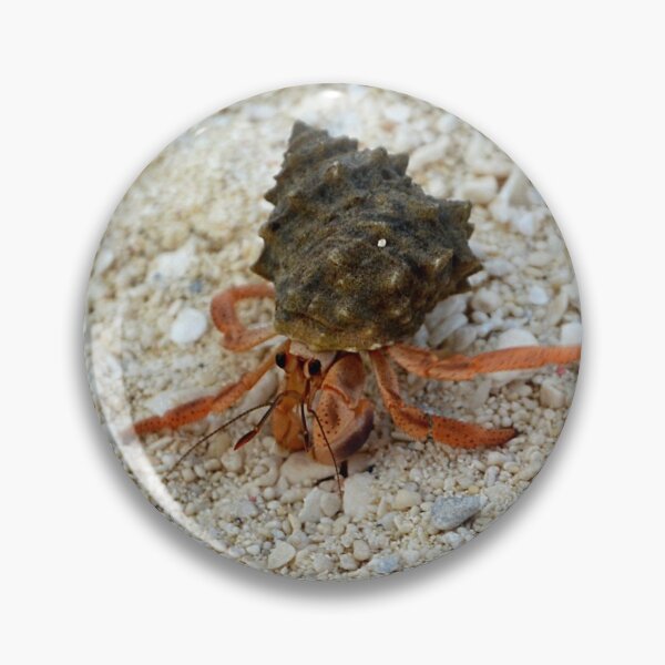 Item preview, Hermit Crab on the beach designed and sold by naturecdesigns.