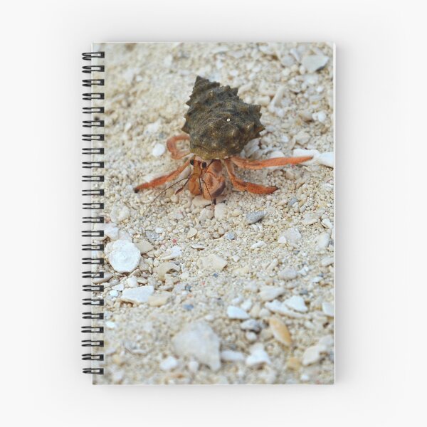 Item preview, Hermit Crab on the beach designed and sold by naturecdesigns.