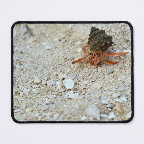 Item preview, Hermit Crab on the beach designed and sold by naturecdesigns.