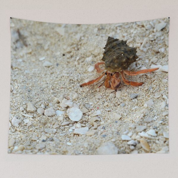 Item preview, Hermit Crab on the beach designed and sold by naturecdesigns.