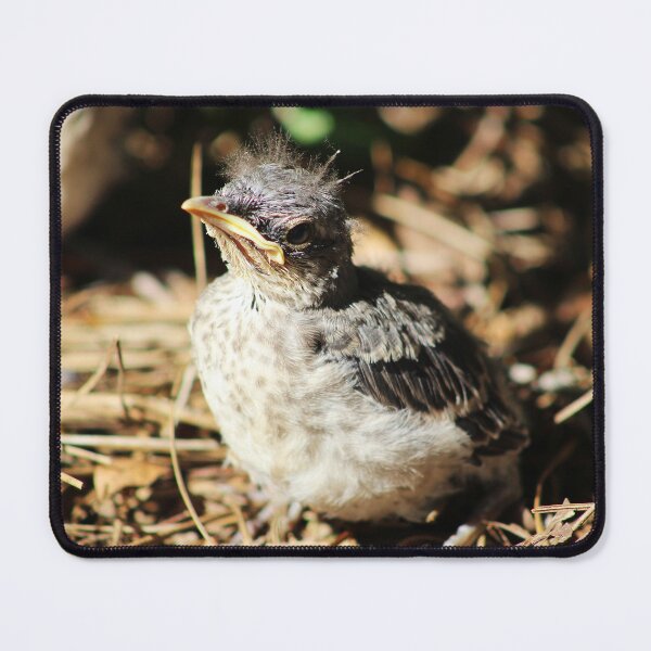 Item preview, Baby Mockingbird designed and sold by Lens2Canvas.