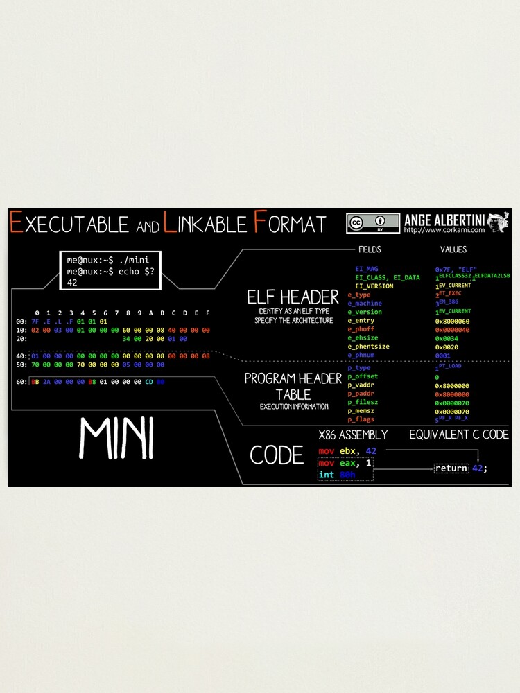 Alternate view of a mini ELF (white text) Photographic Print