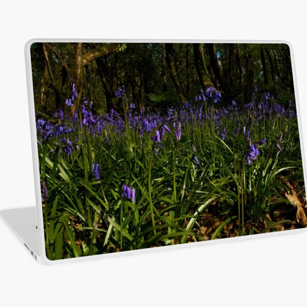 Bluebells in Prehen Woods Laptop Skin