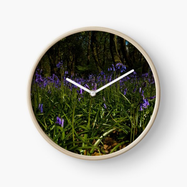 Bluebells in Prehen Woods Clock