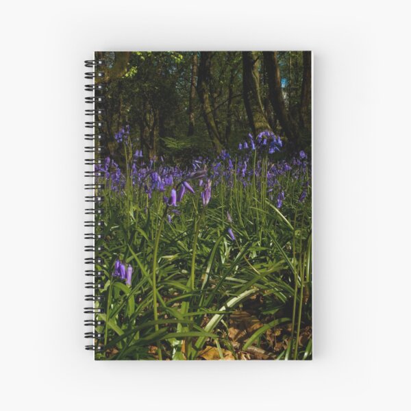 Bluebells in Prehen Woods Spiral Notebook