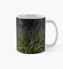 Bluebells in Prehen Woods Classic Mug