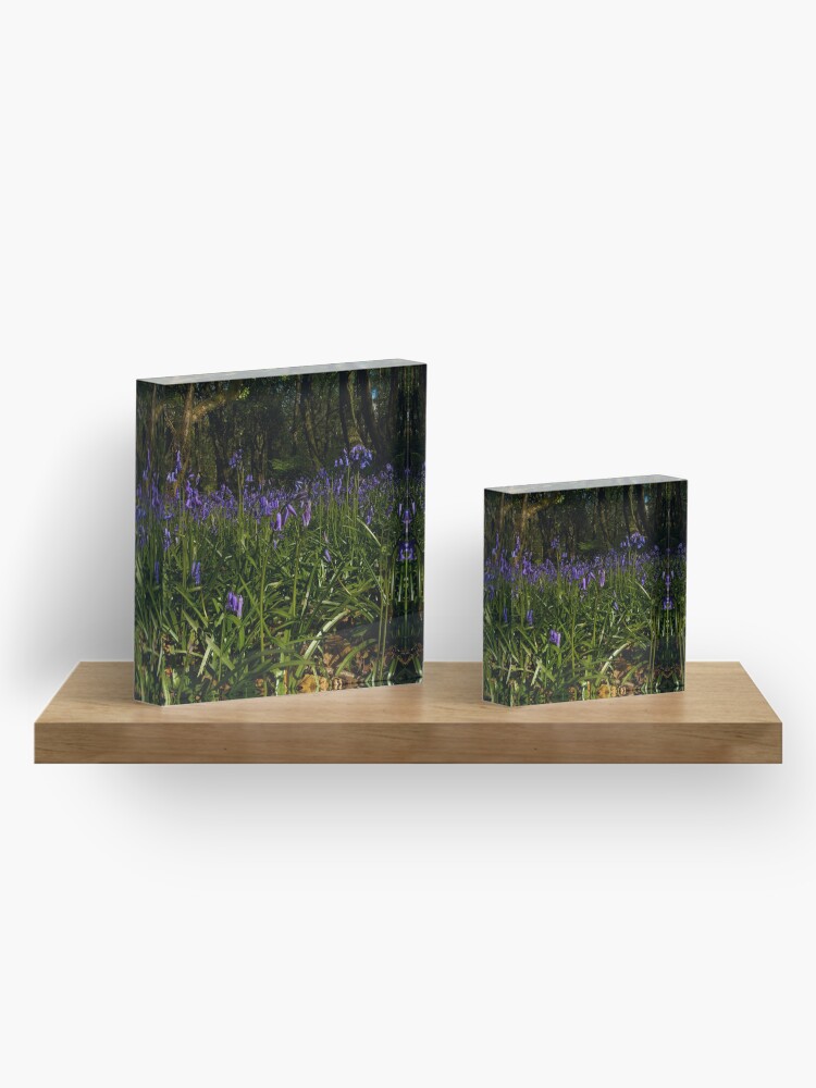 Alternate view of Bluebells in Prehen Woods Acrylic Block