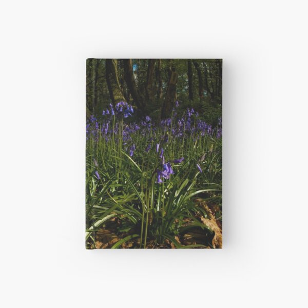 Bluebells in Prehen Woods Hardcover Journal