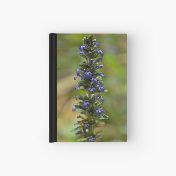 Bugleherb - Burntollet Woods Hardcover Journal