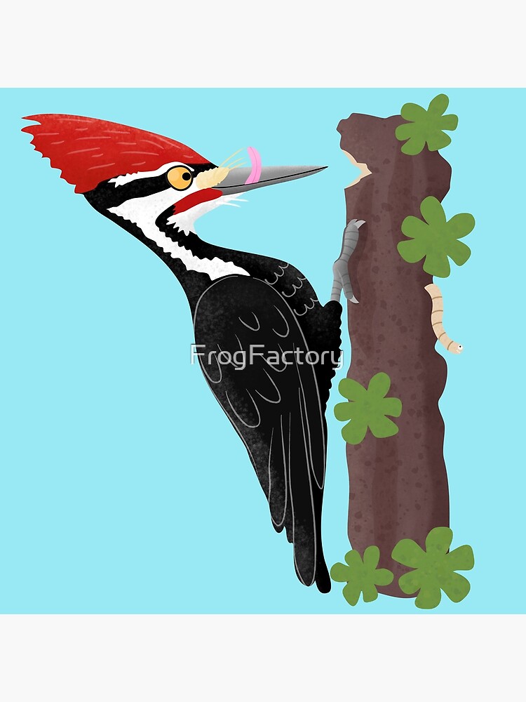 pileated woodpecker cartoon