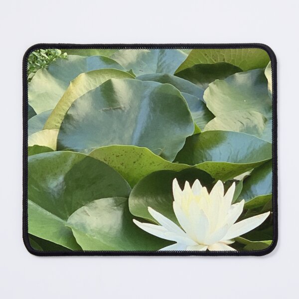 Item preview, White Water Lily designed and sold by agnessa38.