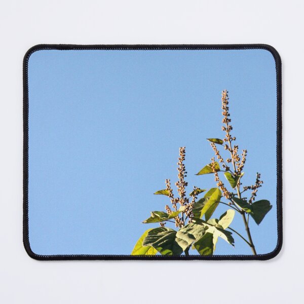 Item preview, To the sun designed and sold by agnessa38.