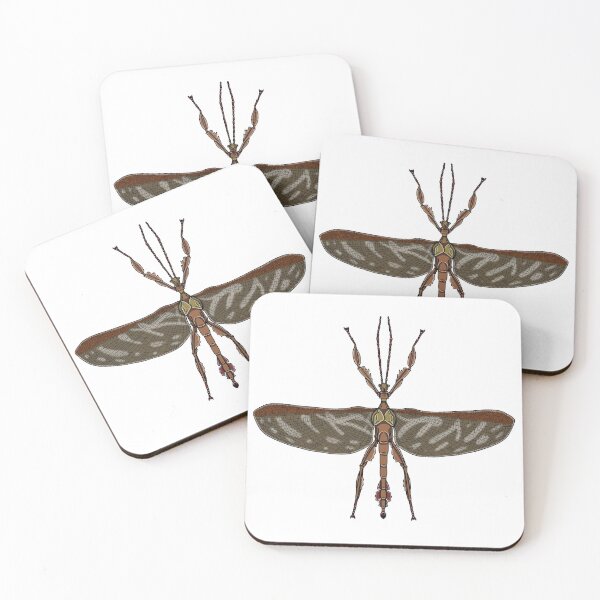 Item preview, Male Extatosoma tiaratum designed and sold by Artbychb.