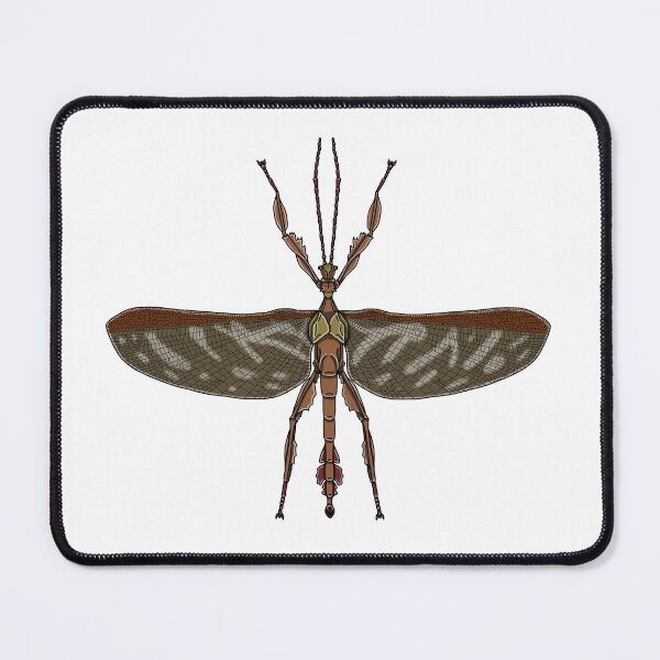 Item preview, Male Extatosoma tiaratum designed and sold by Artbychb.